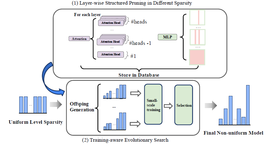 Visual illustration of DarwinLM pipeline